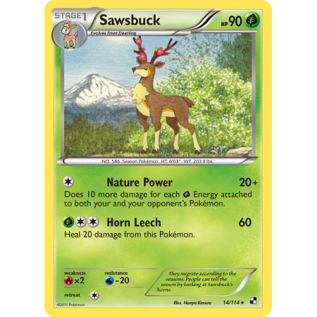 Sawsbuck