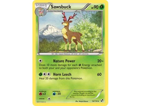 Sawsbuck