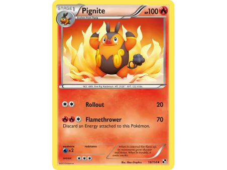Pignite