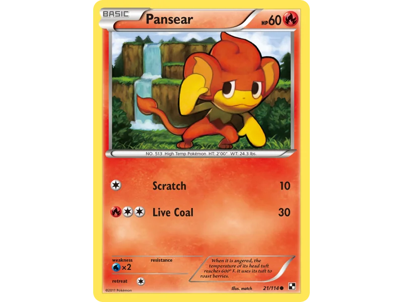 Pansear