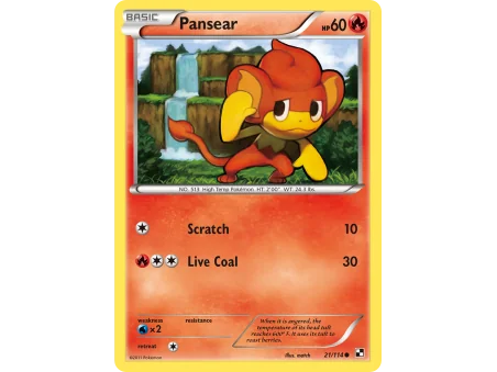 Pansear