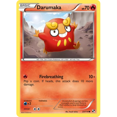 Darumaka