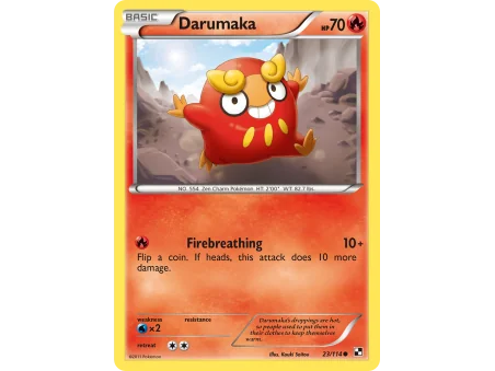 Darumaka