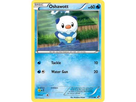 Oshawott (Reverse Holo)