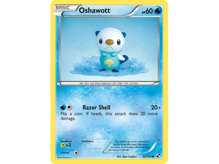 Oshawott (Reverse Holo)