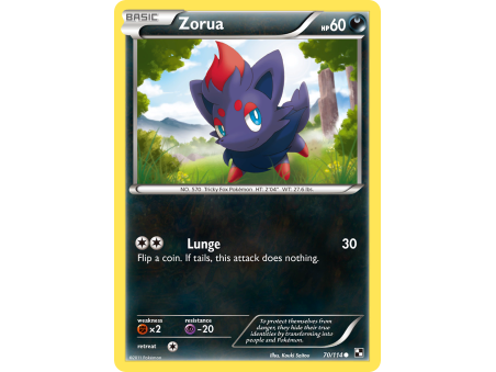 Zorua