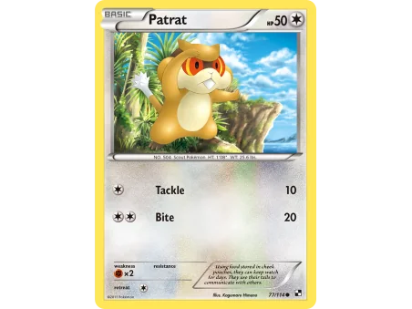 Patrat