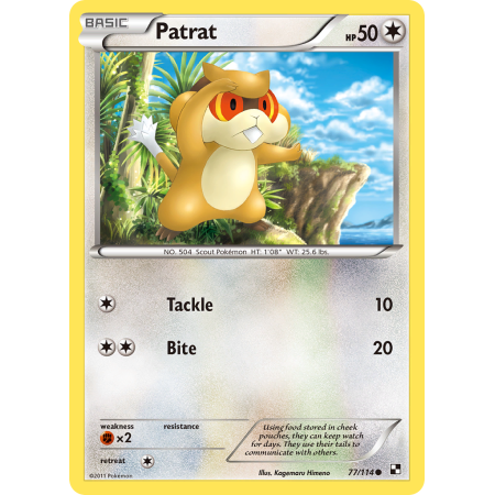 Patrat (Reverse Holo)