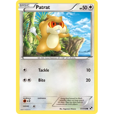 Patrat (Reverse Holo)