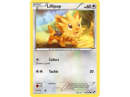 Lillipup