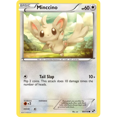 Minccino