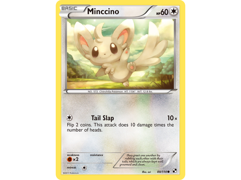Minccino