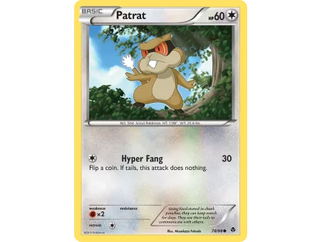 Patrat