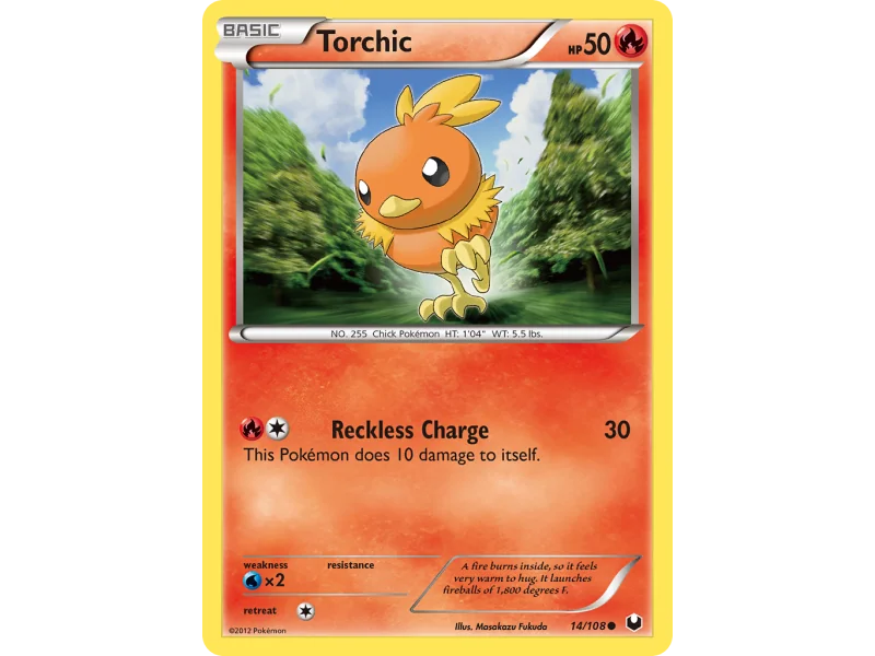 Torchic