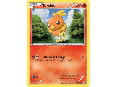 Torchic