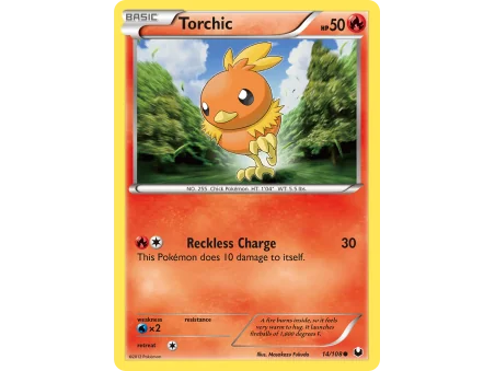 Torchic (Reverse Holo)