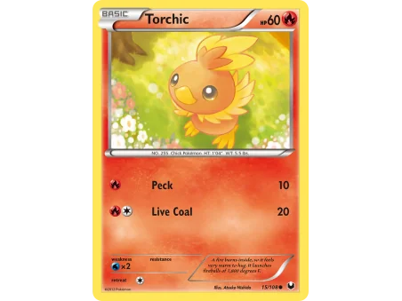 Torchic