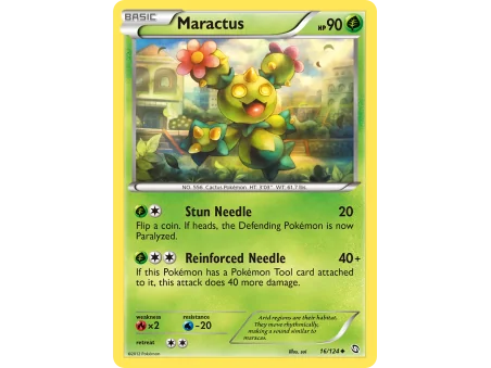 Maractus