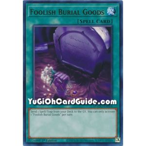 Foolish Burial Goods (Rare)