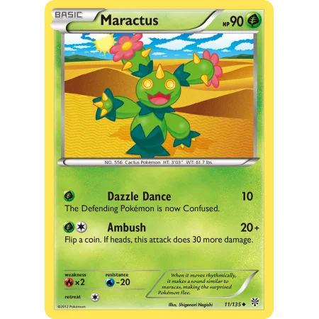 Maractus