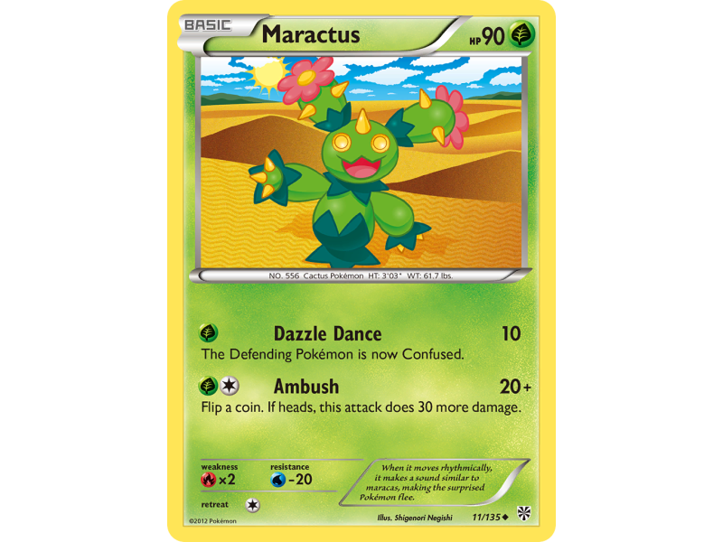 Maractus