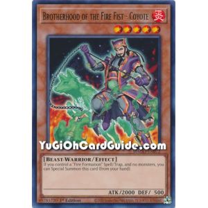 Brotherhood of the Fire Fist - Coyote (Rare)