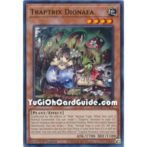 Traptrix Dionaea (Rare)