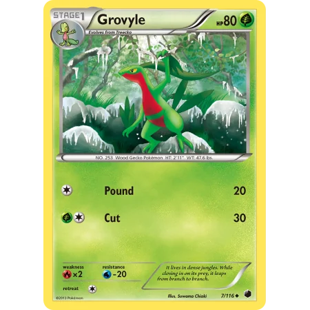 Grovyle (Reverse Holo)
