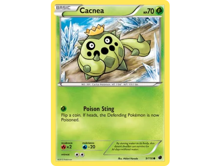 Cacnea