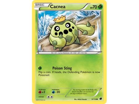 Cacnea (Reverse Holo)
