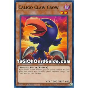 Caligo Claw Crow (Rare)