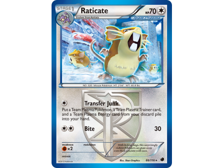 Raticate