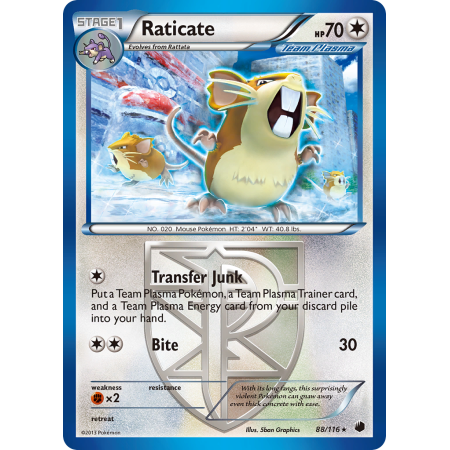 Raticate (Reverse Holo)
