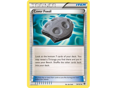 Cover Fossil