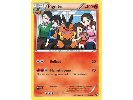 Pignite