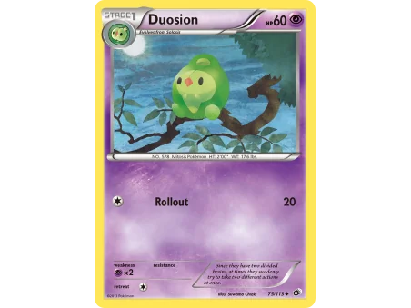 Duosion