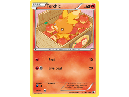 Torchic