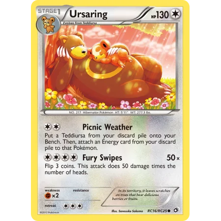 Ursaring (Reverse Holo)