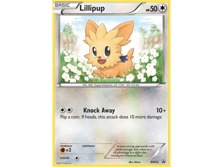 Lillipup