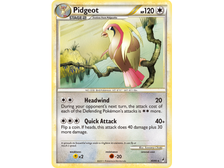 Pidgeot