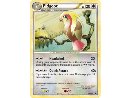 Pidgeot