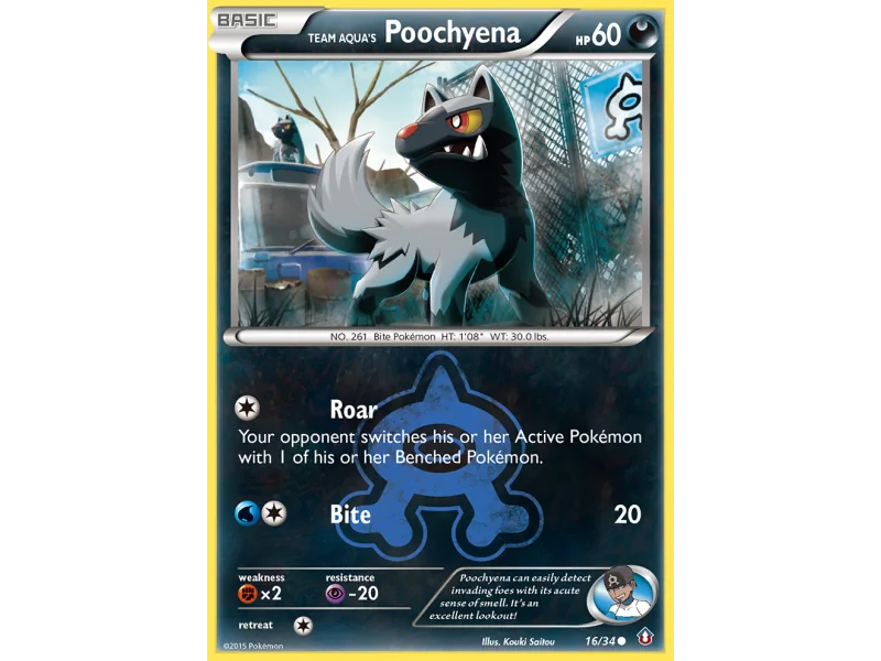 Team Aqua's Poochyena