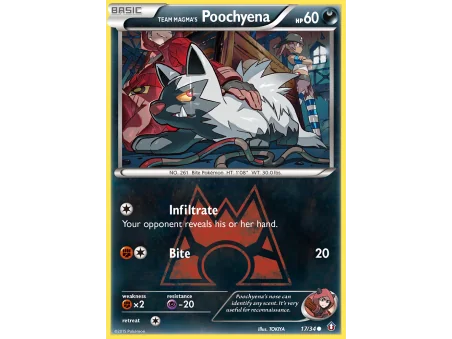 Team Magma's Poochyena