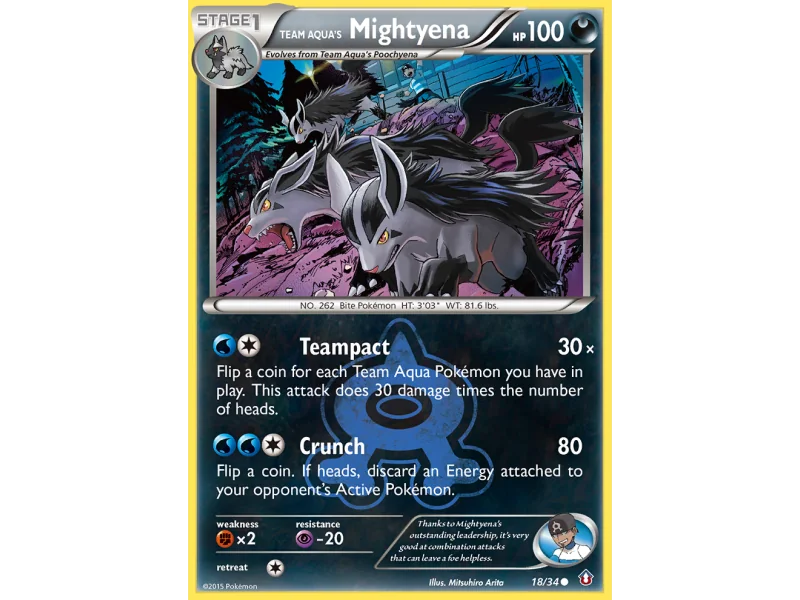Team Aqua's Mightyena