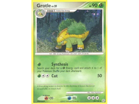 Grotle (Reverse Holo)