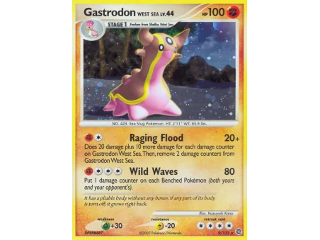 Gastrodon West Sea (Holo)