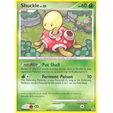 Shuckle (Reverse Holo)