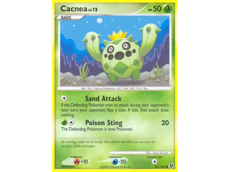 Cacnea (Reverse Holo)