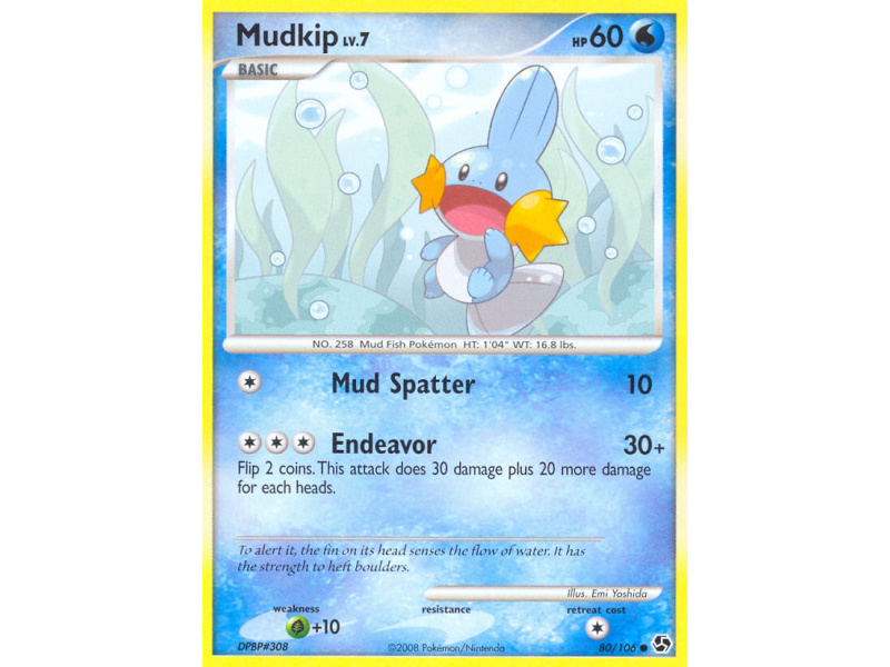 Mudkip (Reverse Holo)