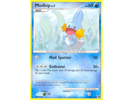 Mudkip (Reverse Holo)